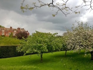 Orchard_20150507_004