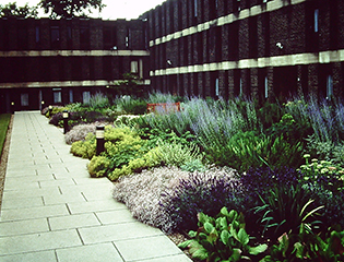 fitzwilliam_project