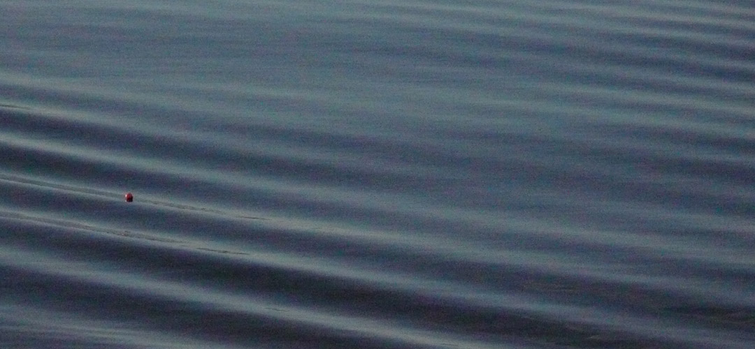 skye_sea_garden_design_coastal